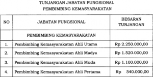 Tunjang Pembimbing