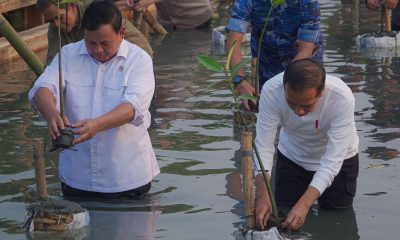 Menhan Prabowo Dampingi Presiden RI Tanam Mangrove Serentak di Seluruh Indonesia