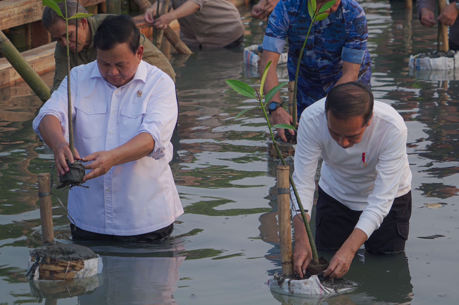 Menhan Prabowo Dampingi Presiden RI Tanam Mangrove Serentak di Seluruh Indonesia