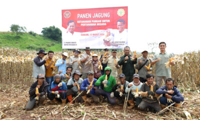 Kementerian Pertahanan RI Panen Raya Jagung di Lahan Food Estate, Jawa Barat