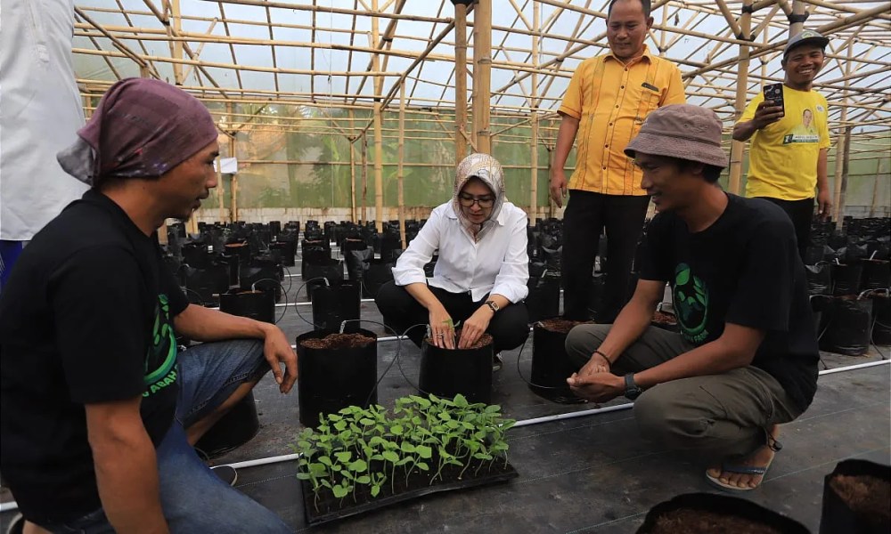 Menginspirasi, Airin Rachmi Diany Apresiasi Petani Milenial