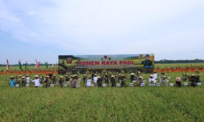 Sekjen Kemhan Mewakili Menhan Hadiri Panen Raya di Kodam I/Bukit Barisan, Wujud Kontribusi Nyata Pembangunan Ekonomi Nasional