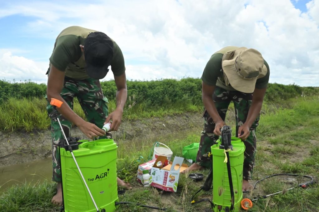 Kemhan dan TNI Dukung Ketahanan Pangan Nasional di Wilayah Merauke